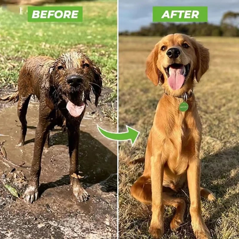 Adjustable Pet Shower Sprayer